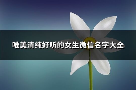 唯美清純好聽的女生微信名字大全(共267個)