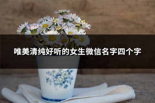 唯美清純好聽的女生微信名字四個字(463個)