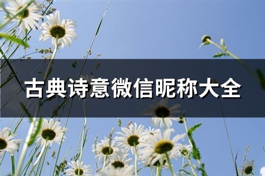 古典詩(shī)意微信昵稱大全(127個(gè))