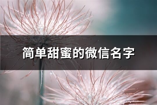 簡單甜蜜的微信名字(優選217個)