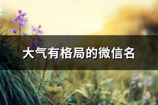 大氣有格局的微信名(296個(gè))