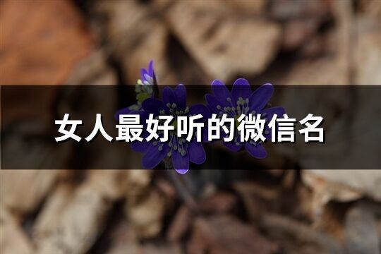 女人最好聽的微信名(586個)