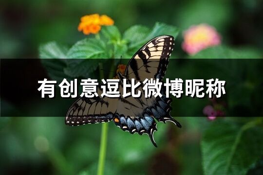 有創(chuàng)意逗比微博昵稱(優(yōu)選173個(gè))