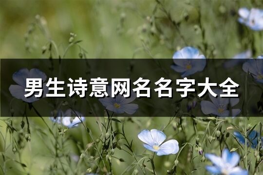 男生詩意網名名字大全(優選280個)