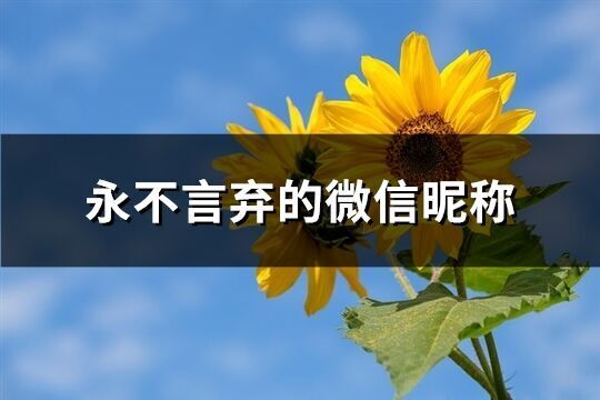永不言棄的微信昵稱(共226個)
