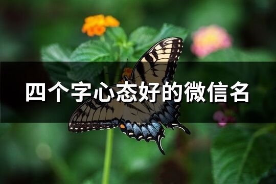 四個字心態好的微信名(優選1043個)