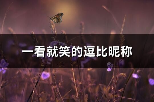 一看就笑的逗比昵稱(優(yōu)選163個)