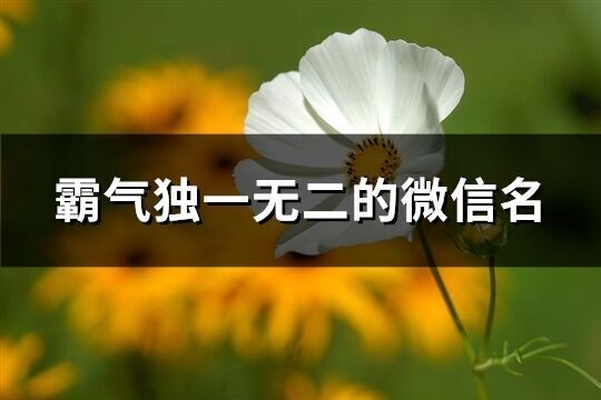 霸氣獨一無二的微信名(精選649個)
