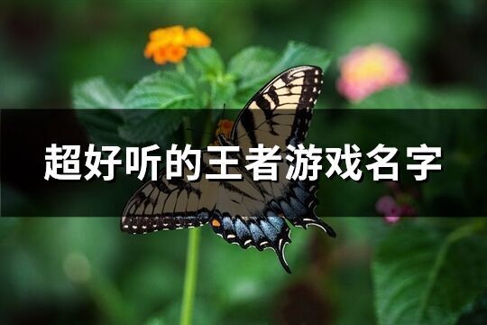 超好聽的王者游戲名字(252個)