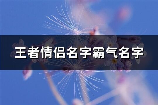 王者情侶名字霸氣名字(233個)