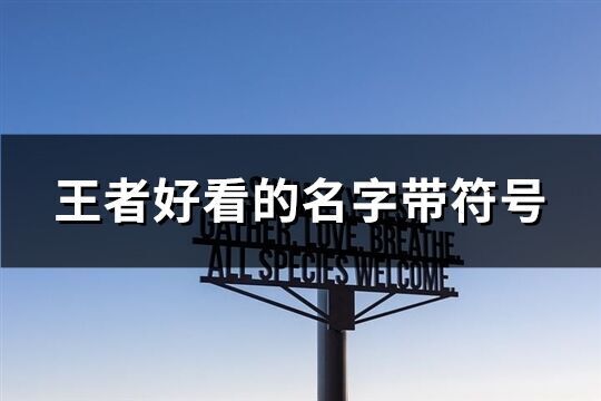 王者好看的名字帶符號(優選84個)