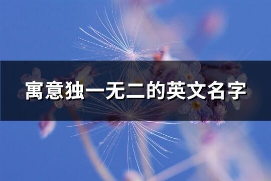 寓意獨一無二的英文名字(精選84個)