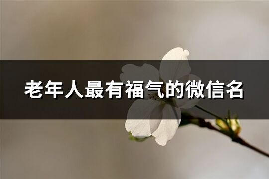 老年人最有福氣的微信名(232個)