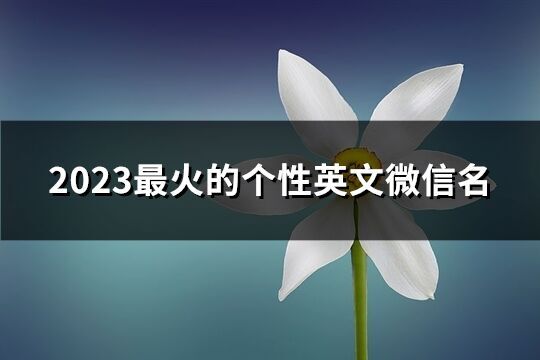 2023最火的個性英文微信名(精選141個)