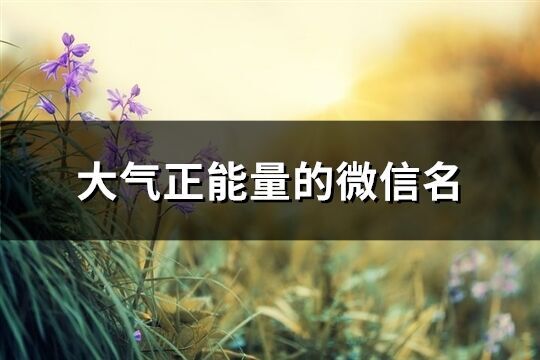 大氣正能量的微信名(優(yōu)選452個(gè))