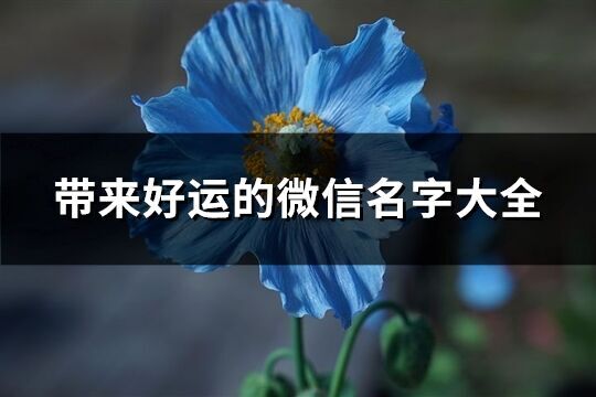 帶來好運的微信名字大全(共1022個)