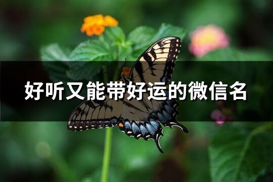 好聽又能帶好運的微信名(優選852個)