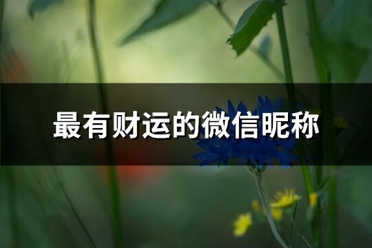最有財運的微信昵稱(精選517個)