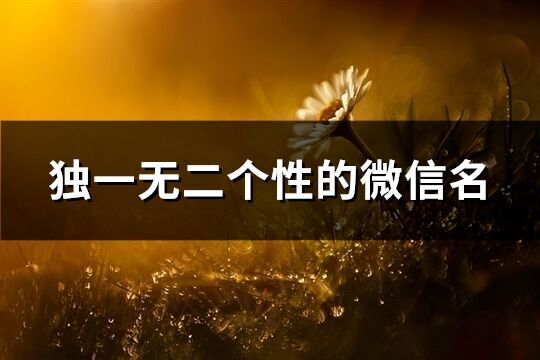 獨一無二個性的微信名(精選1110個)