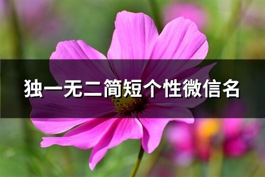 獨一無二簡短個性微信名(共1367個)