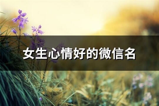 女生心情好的微信名(優(yōu)選265個)