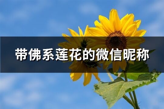 帶佛系蓮花的微信昵稱(共82個(gè))