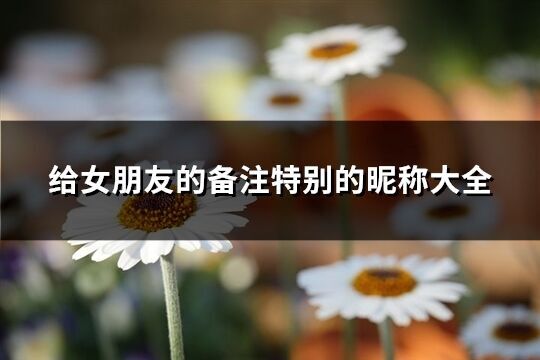 給女朋友的備注特別的昵稱大全(精選89個(gè))