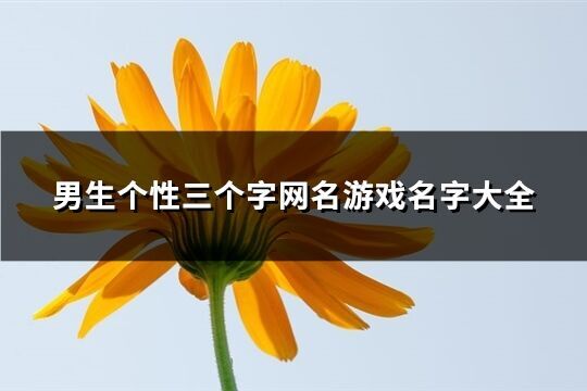 男生個性三個字網名游戲名字大全(優選370個)