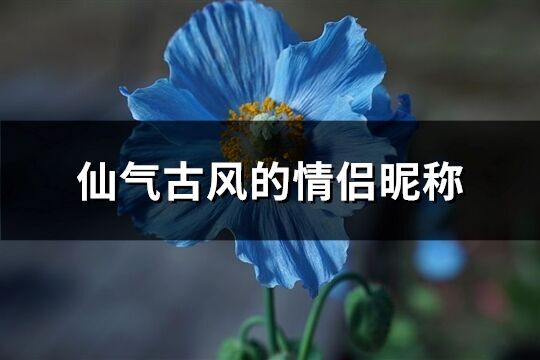 仙氣古風(fēng)的情侶昵稱(共193個(gè))