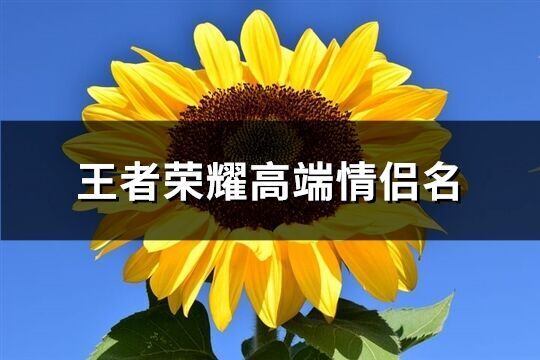 王者榮耀高端情侶名(精選358個)