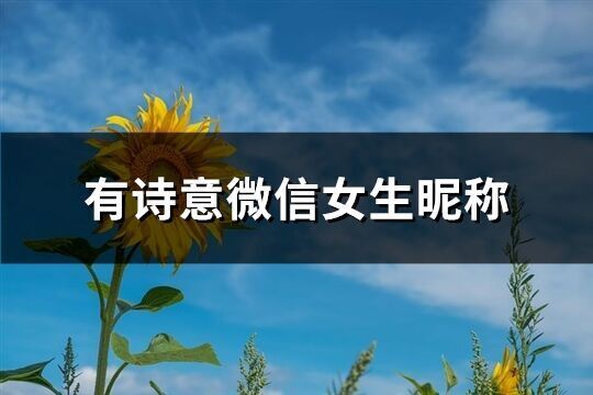 有詩意微信女生昵稱(422個)