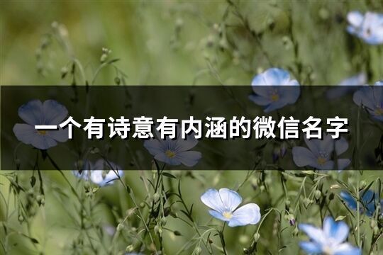 一個有詩意有內涵的微信名字(優選580個)