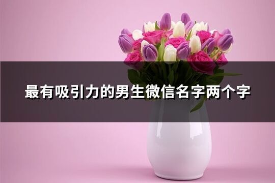 最有吸引力的男生微信名字兩個字(共1191個)