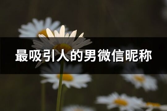 最吸引人的男微信昵稱(優選472個)