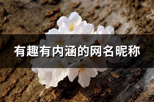 有趣有內(nèi)涵的網(wǎng)名昵稱(精選478個(gè))