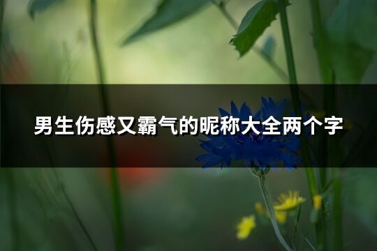 男生傷感又霸氣的昵稱大全兩個字(368個)