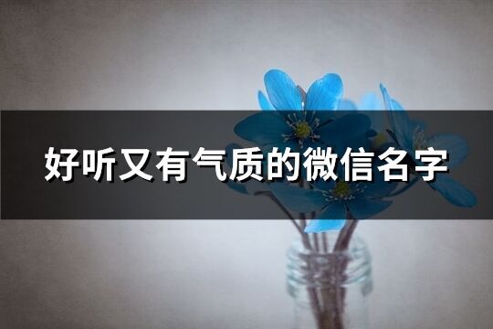 好聽又有氣質的微信名字(1705個)