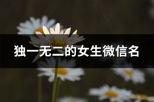 獨(dú)一無二的女生微信名(精選284個)