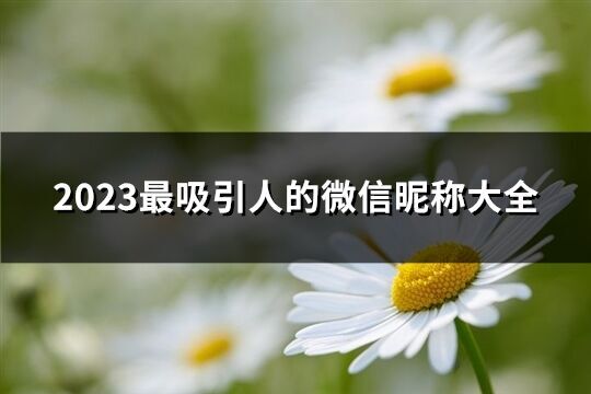 2023最吸引人的微信昵稱大全(1057個)