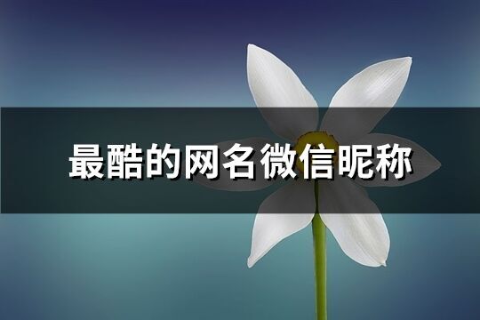 最酷的網名微信昵稱(共492個)