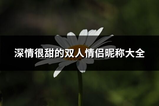 深情很甜的雙人情侶昵稱大全(優(yōu)選338個)