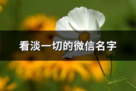 看淡一切的微信名字(605個)