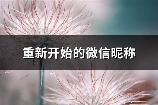 重新開始的微信昵稱(優選463個)