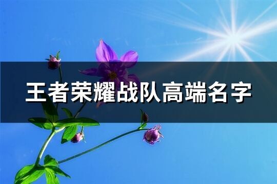 王者榮耀戰隊高端名字(精選298個)