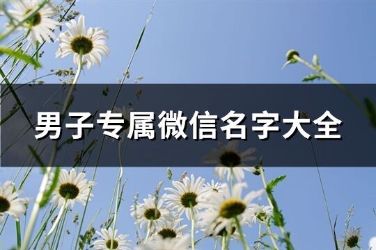 男子專屬微信名字大全(637個)