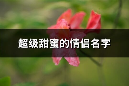 超級(jí)甜蜜的情侶名字(精選296個(gè))