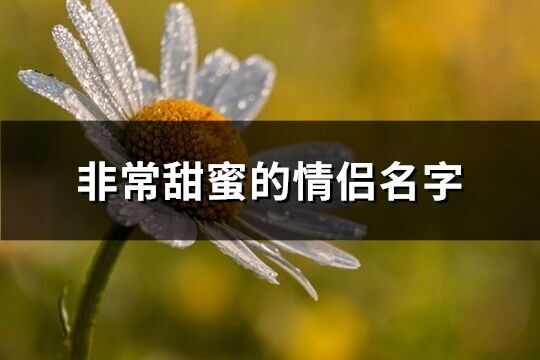 非常甜蜜的情侶名字(225個)