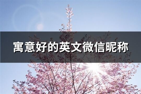 寓意好的英文微信昵稱(共159個)