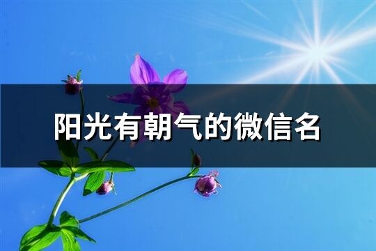 陽光有朝氣的微信名(共407個)