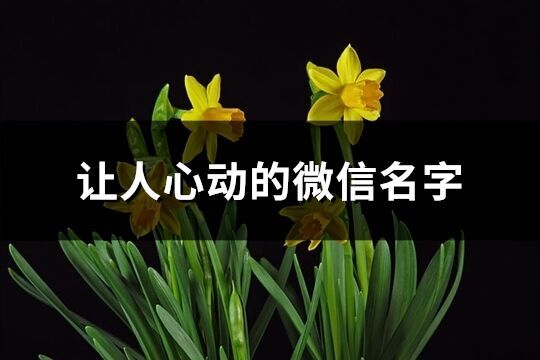 讓人心動的微信名字(優選314個)